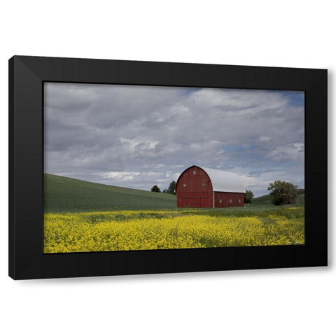 Palouse Barn and Flowers I Black Modern Wood Framed Art Print by Drost, David