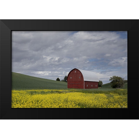 Palouse Barn and Flowers I Black Modern Wood Framed Art Print by Drost, David