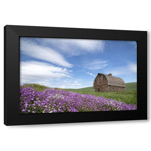 Palouse Barn and Flowers II Black Modern Wood Framed Art Print with Double Matting by Drost, David