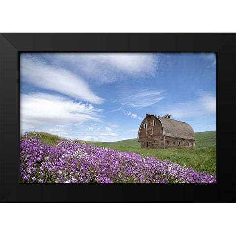 Palouse Barn and Flowers II Black Modern Wood Framed Art Print by Drost, David