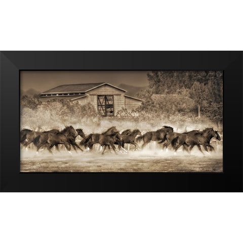 A Dozen Quarters Black Modern Wood Framed Art Print by Drost, David