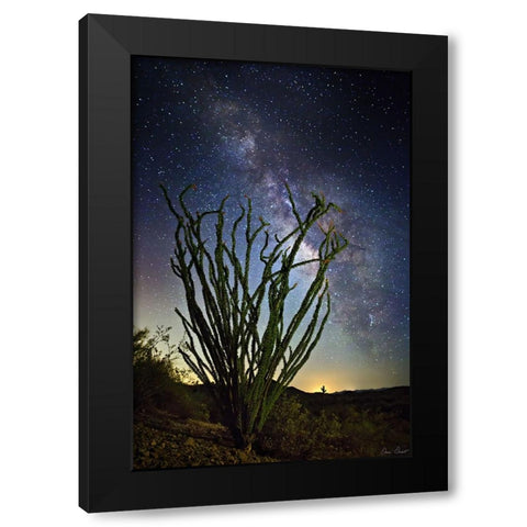 Desert Lights II Black Modern Wood Framed Art Print with Double Matting by Drost, David