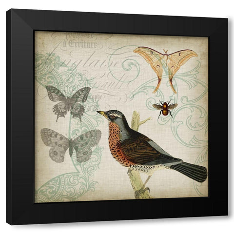 Cartouche and Wings II Black Modern Wood Framed Art Print with Double Matting by Goldberger, Jennifer