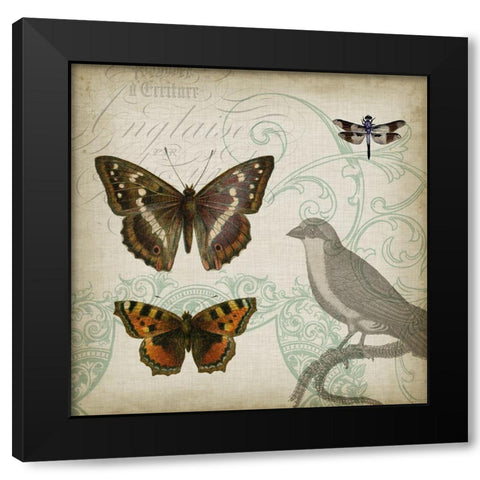 Cartouche and Wings III Black Modern Wood Framed Art Print with Double Matting by Goldberger, Jennifer