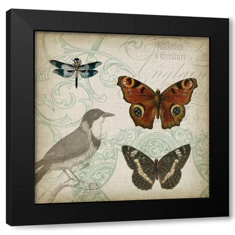 Cartouche and Wings IV Black Modern Wood Framed Art Print with Double Matting by Goldberger, Jennifer