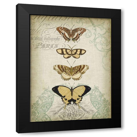 Cartouche and Butterflies II Black Modern Wood Framed Art Print with Double Matting by Goldberger, Jennifer