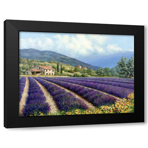 Fields Of Lavender Black Modern Wood Framed Art Print with Double Matting by Swanson, Michael