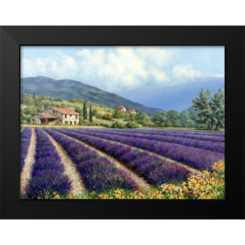 Fields Of Lavender Black Modern Wood Framed Art Print by Swanson, Michael