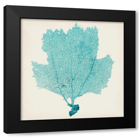 Sea Fan III Black Modern Wood Framed Art Print with Double Matting by Vision Studio