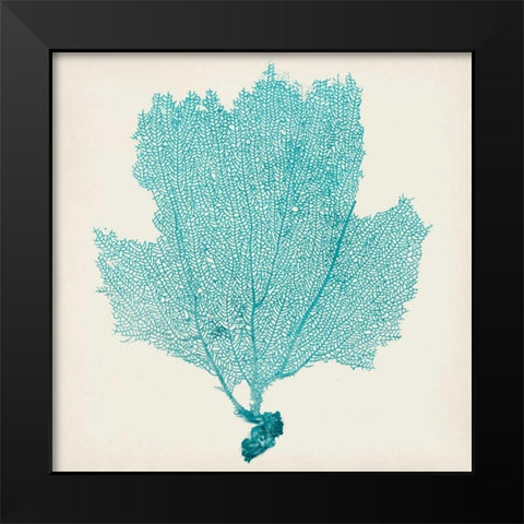 Sea Fan III Black Modern Wood Framed Art Print by Vision Studio