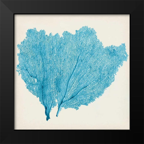 Sea Fan IV Black Modern Wood Framed Art Print by Vision Studio