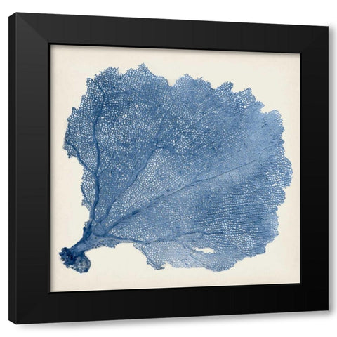 Sea Fan V Black Modern Wood Framed Art Print with Double Matting by Vision Studio