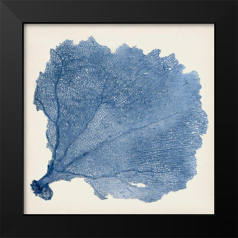 Sea Fan V Black Modern Wood Framed Art Print by Vision Studio