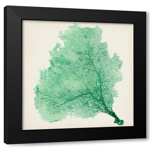 Sea Fan VII Black Modern Wood Framed Art Print with Double Matting by Vision Studio