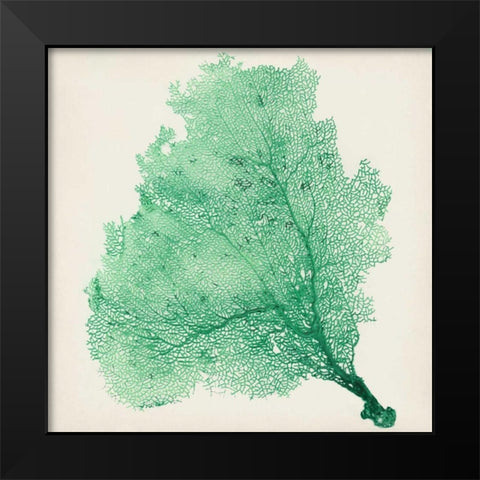 Sea Fan VII Black Modern Wood Framed Art Print by Vision Studio