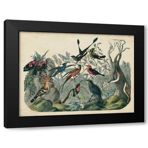 Habitat for Birds Black Modern Wood Framed Art Print by Unknown