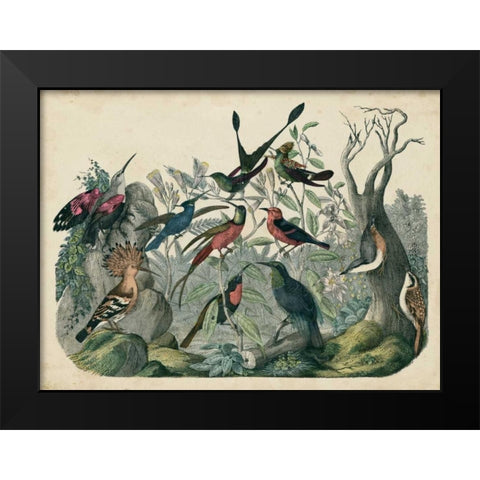 Habitat for Birds Black Modern Wood Framed Art Print by Unknown