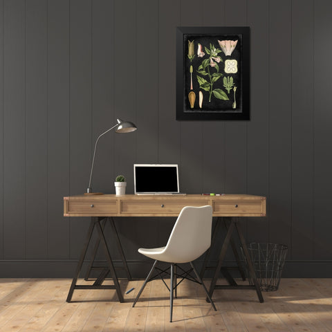 Study in Botany II Black Modern Wood Framed Art Print by Vision Studio