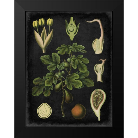 Study in Botany IV Black Modern Wood Framed Art Print by Vision Studio