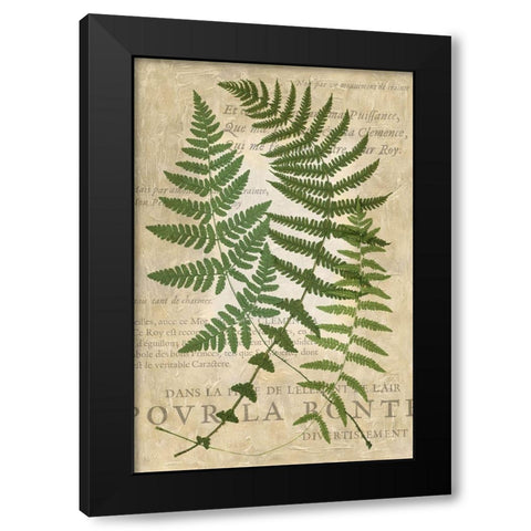 Fern Folio I Black Modern Wood Framed Art Print with Double Matting by Vision Studio