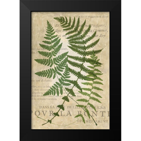 Fern Folio I Black Modern Wood Framed Art Print by Vision Studio
