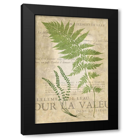 Fern Folio II Black Modern Wood Framed Art Print with Double Matting by Vision Studio