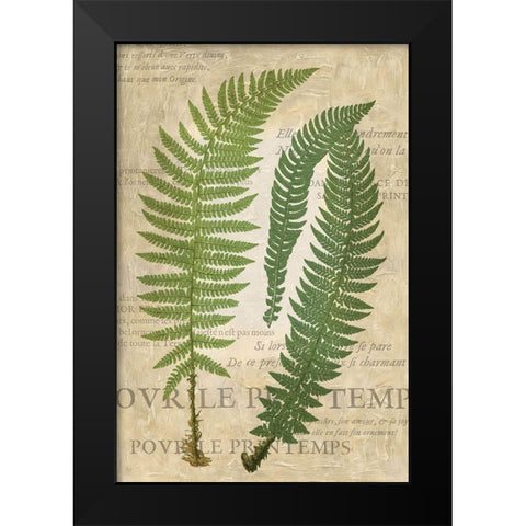 Fern Folio III Black Modern Wood Framed Art Print by Vision Studio