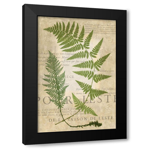 Fern Folio IV Black Modern Wood Framed Art Print with Double Matting by Vision Studio