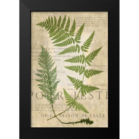 Fern Folio IV Black Modern Wood Framed Art Print by Vision Studio