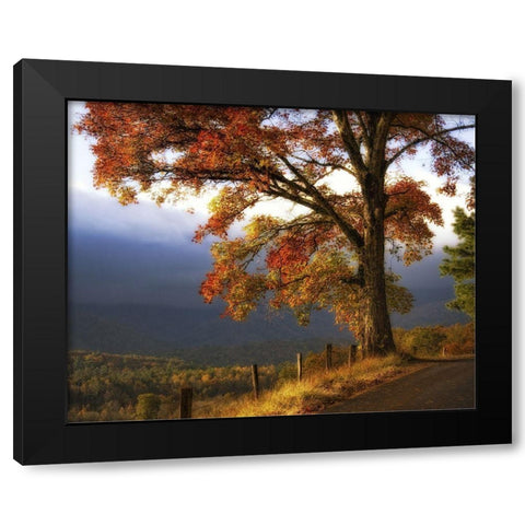 And Morning Comes Black Modern Wood Framed Art Print by Head, Danny