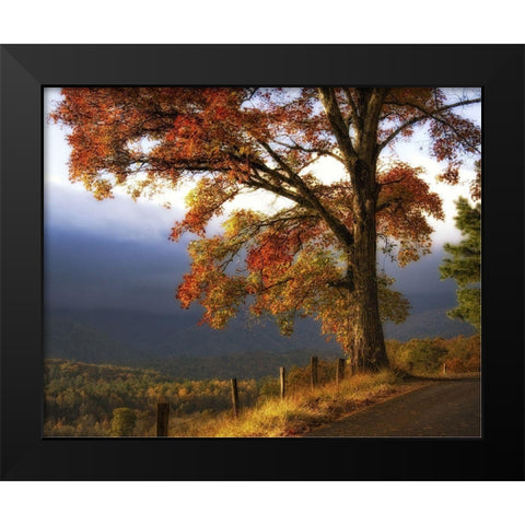 And Morning Comes Black Modern Wood Framed Art Print by Head, Danny