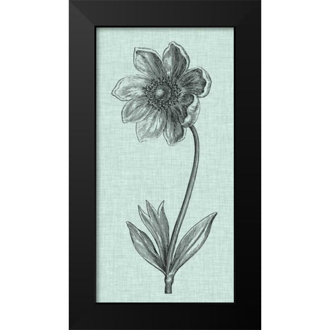 Celadon Beauty II Black Modern Wood Framed Art Print by Vision Studio