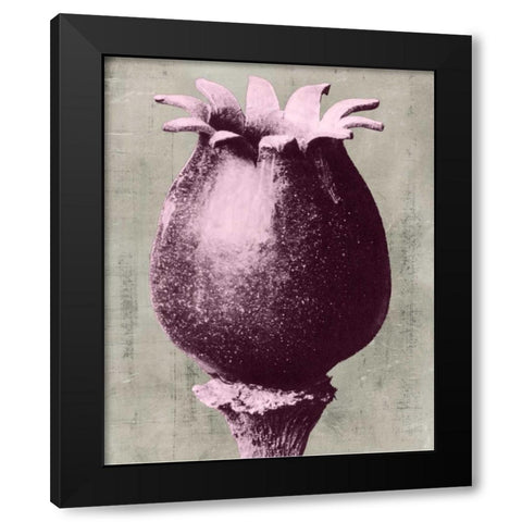 Blossfeldt Redeux I Black Modern Wood Framed Art Print by Vision Studio