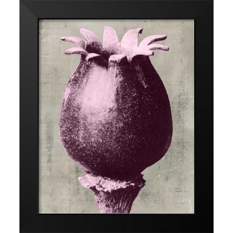 Blossfeldt Redeux I Black Modern Wood Framed Art Print by Vision Studio