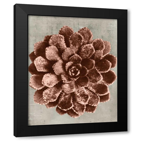 Blossfeldt Redeux II Black Modern Wood Framed Art Print by Vision Studio