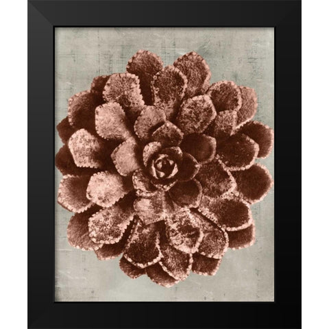 Blossfeldt Redeux II Black Modern Wood Framed Art Print by Vision Studio