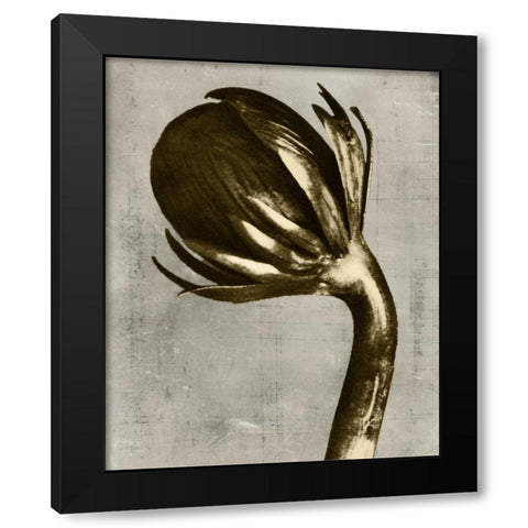 Blossfeldt Redeux III Black Modern Wood Framed Art Print by Vision Studio