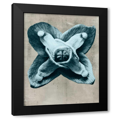 Blossfeldt Redeux IV Black Modern Wood Framed Art Print by Vision Studio