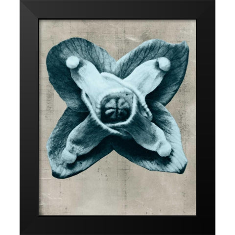 Blossfeldt Redeux IV Black Modern Wood Framed Art Print by Vision Studio