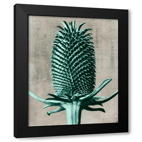 Blossfeldt Redeux V Black Modern Wood Framed Art Print by Vision Studio