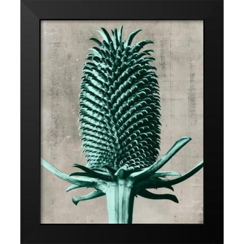 Blossfeldt Redeux V Black Modern Wood Framed Art Print by Vision Studio