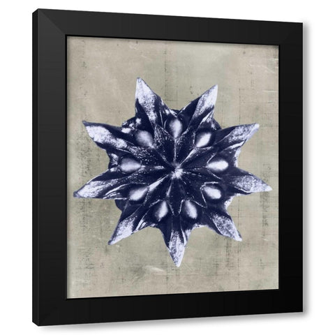 Blossfeldt Redeux VI Black Modern Wood Framed Art Print with Double Matting by Vision Studio