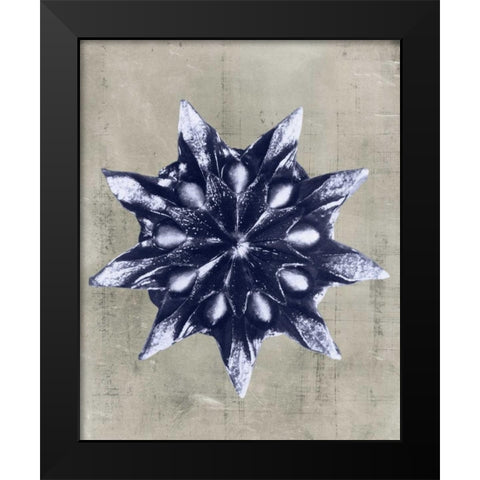 Blossfeldt Redeux VI Black Modern Wood Framed Art Print by Vision Studio