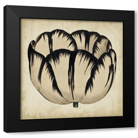 Pop Floral III Black Modern Wood Framed Art Print by Vision Studio