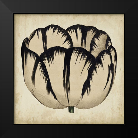 Pop Floral III Black Modern Wood Framed Art Print by Vision Studio