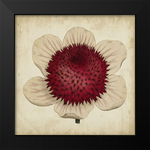 Pop Floral IV Black Modern Wood Framed Art Print by Vision Studio