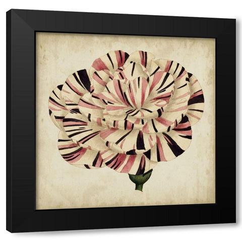 Pop Floral VI Black Modern Wood Framed Art Print by Vision Studio