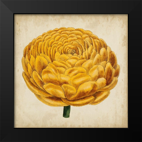 Pop Floral VIII Black Modern Wood Framed Art Print by Vision Studio