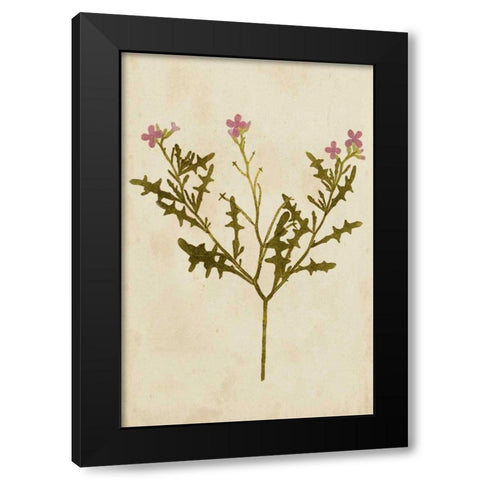 Botanical Impression IV Black Modern Wood Framed Art Print with Double Matting by Unkown