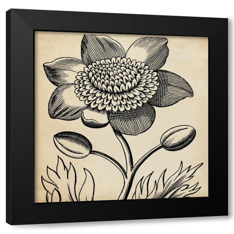 Graphic Floral III Black Modern Wood Framed Art Print by Vision Studio